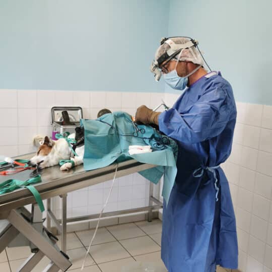 Le Dr Préaut en chirurgie