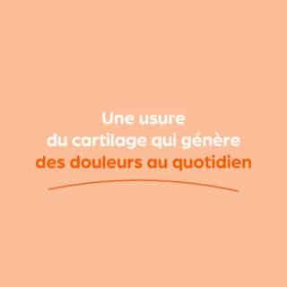 Cartilage