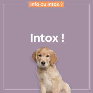 intox