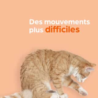 Mouvements difficiles