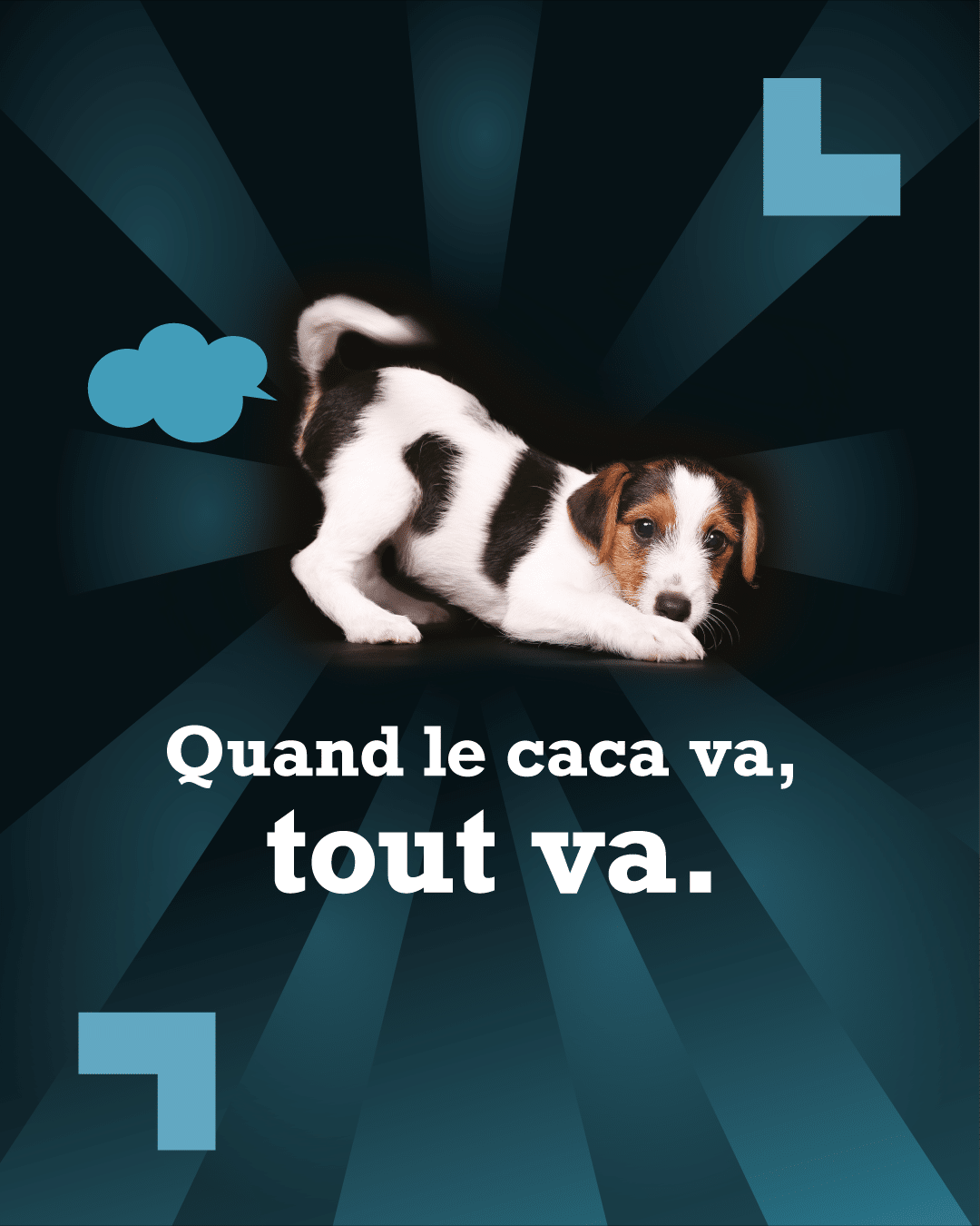 Visuel-Post-fixe-Sante-Digestive.png